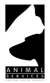 20251007135453_Animal Services.png